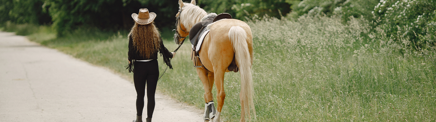 Randonne equestre